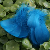 100 корней в Mo Blue