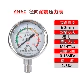 YN60BF thép không gỉ 304 chống sốc đồng hồ đo áp suất xuyên tâm áp suất dầu áp suất nước áp suất không khí 1.6MPA đồng hồ đo áp suất âm đồng hồ đo chân không