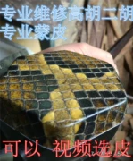 Pang Yuwen nhà sản xuất nam chuyên nghiệp Gaohu erhu nhạc cụ da trăn thay da - Nhạc cụ dân tộc
