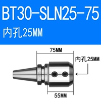 BT30-Sln25-75 (бесплатная доставка латынь)