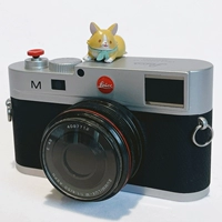 Творческие короткие горячие ботинки Corgi