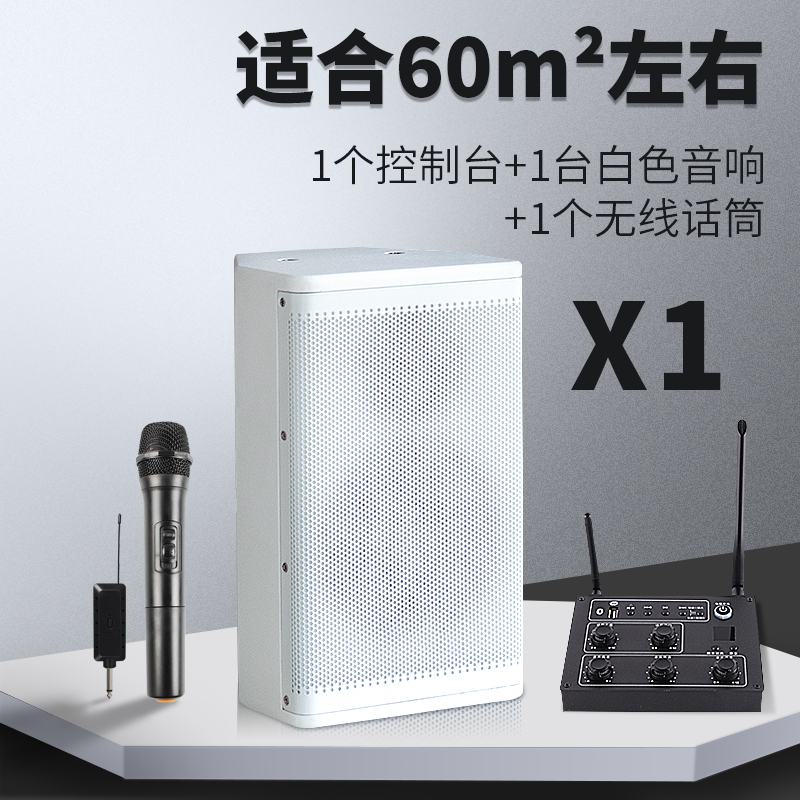 Console + 1 White Audio + 1 Wireless Microphonewireless Wall hanging sound shop special-purpose commercial Bluetooth Speaker  Dance room classroom meeting suit bar Heavy bass