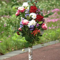 Абрикосовый