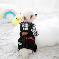 PET SHIH TZU ЧЕТКОВОЕ ПЛОНА