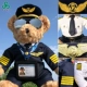 Сертификат весеннего и осенью CAAC Двойной униформ солнцезащитных очков Машина Медведь медведь