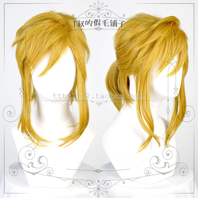 taobao agent Spot [Hey!】+ Caida's tears of the kingdom of the king of the wild+ Link cosplay wig