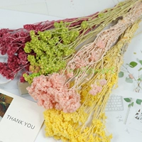 Япония импортированная земля вечная цветочная пшеница соломинка, хризантемум снежный бархатный цветок 30140 серии серии