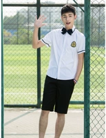 Рубашка, шорты, галстук-бабочка, короткий рукав