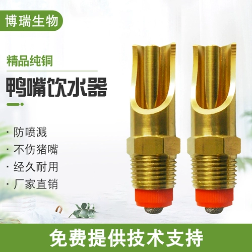 Свинья водонагреватель чистый медный свинью напиток водонагреватель