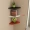 Góc tủ sách đơn giản kệ tam giác hình quạt kệ phòng khách phòng ngủ trang trí vách ngăn treo tường miễn phí - Kệ giá để đồ