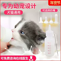 Кошка котят котят специальные кошачьи бутылочки для бутылочки для бутылки для пищи новорожденных.