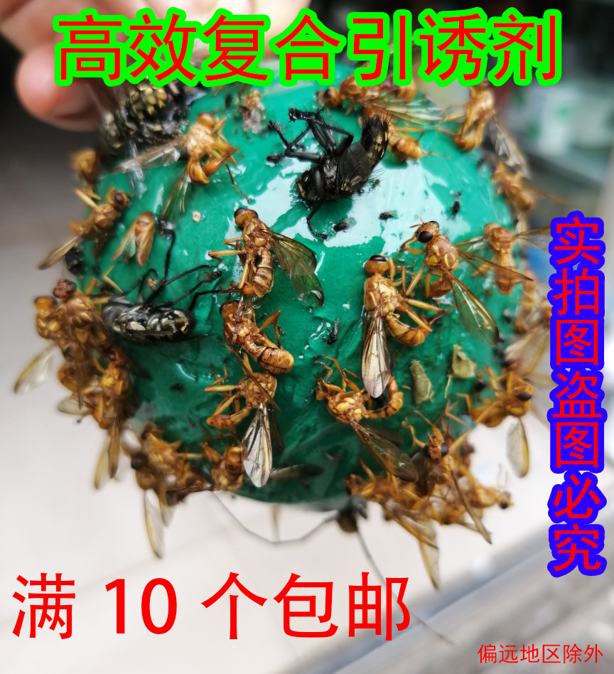 果园菜地诱蝇球柑橘大实蝇球蓝莓樱桃瓜粘虫球诱针蜂果蝇诱捕器淘宝网 果园菜地诱蝇球柑橘大实蝇球蓝莓樱桃瓜粘虫球诱针蜂果蝇诱捕器淘宝网