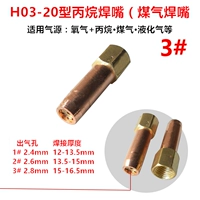 Тип 20 3#Plum Blossom Patene