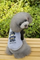 Q Версия Batman-Plel of Velvers-Black Grey