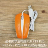 Чтение LANG Студенческого компьютера P18P19P20P225P25P26P30P30S ПРОВОДНА
