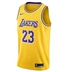 Nike NBA Lakers James Yellow Jersey Tím Vàng 23 Home SW Phiên bản quạt AA7099-741 - Thể thao sau bộ gió adidas Thể thao sau