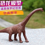 Jurassic mô phỏng lớn khủng long đồ chơi mô hình cổ tay rồng dài cổ rồng chùm rồng Leilong tĩnh rắn đồ trang trí trẻ em - Trang trí nội thất