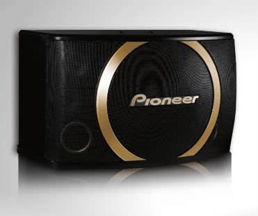 Pioneer япония пионер CS-Y100 специальность упаковка карта звук 8 -INCH 10 дюйм 12 дюймовый продукт страны строки гарантия