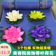 Засушенные цветы 美容院会所美容床上水池spa装饰用品荷花摆件仿真塑料花睡莲花瓣