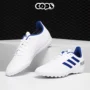 Adidas Predator 19.4 TF Giày bóng đá móng tay trẻ em Adidas CM8558 - Giày bóng đá giày thể thao bitis nam