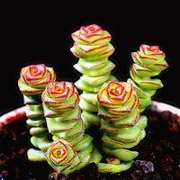 Серебряный