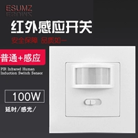 Умный физиологичный индукционный переключатель, 110v, 220v, высокая мощность
