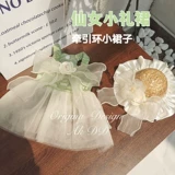 AKDD PET CAT DOGS DOG