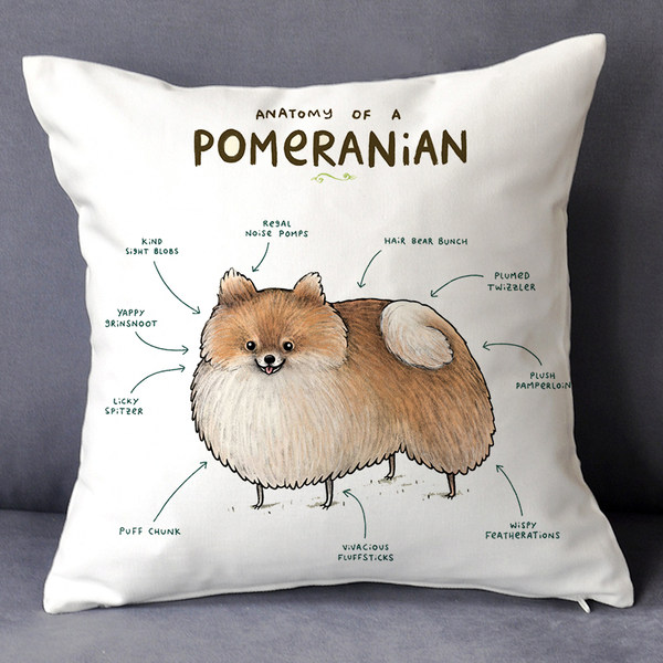 Жизнь Большой взрыв животное Анализ Шиба Ину подушка ретро лиса еж белка мужской и женщины прилив сделанный на заказ Держите рукав подушка