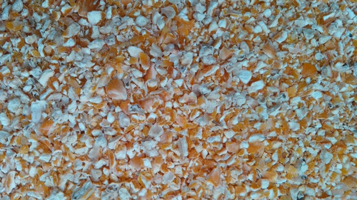 Нет измельченной кукурузной кукурузной кукурузной кукурузы фрагментированная куриная ути