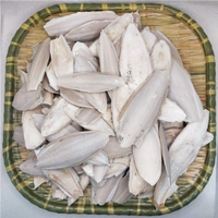 Китайская травяная медицина каракатира кость, вся морская настойка кальмара, Сяохай 螵蛸 500 грамм свободного шлифования