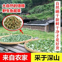 Новые товары Wild houttuynia cordata свежие складные уши корни сухость yuchen травяная травяная травяная чай фермеры -экспонировать 500 г бесплатную доставку