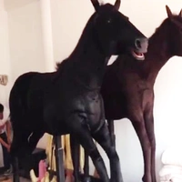 Высокоэнергетические моделирующие лошади, бегущие в рот, и моделирование