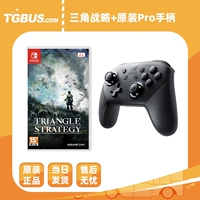 Стратегия треугольника+оригинальная профессиональная ручка