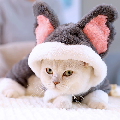 Кошачья одежда осень и зимняя кошка английская кошка короткие зимние тепление питомцы