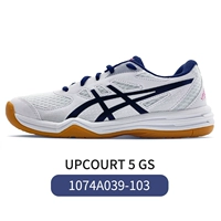 1074A039-103 Белый/Синий Upcourt 5 GS