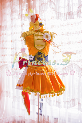 taobao agent [Princess.t] LOVELIVE Ninth Anniversary Muse Muse Player All COS