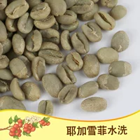 绿之素 Jegar Snowy G2 Coffee Raw Beans