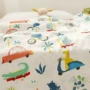Xiaomi 馍 馍 | Du lịch | Bộ đồ giường đơn dài bằng vải bông dài 60s - Trang bị Covers ga giường chun