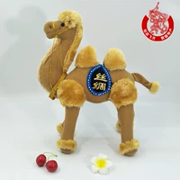 Двадцать светового цвета на 20 -м