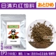 100G EP3