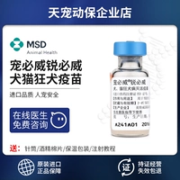 Нидерланды импортировали Intelway Pets Biwi Rui Biwei Waby Vaccine Extreme Dogs, Cat, собака, собака Merhado