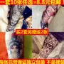 Dán hình xăm nam và nữ không thấm nước Hàn Quốc kéo dài 3d vô hình mô phỏng cánh tay hoa gợi cảm hình xăm sticker cơ thể hình xăm dán đẹp cho nữ