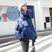 Chống mùa giảm giá áo khoác nữ đoạn ngắn 2019 Phiên bản Hàn Quốc của túi bánh mì dày lên mặt vịt trắng giải phóng mặt bằng - Xuống áo khoác