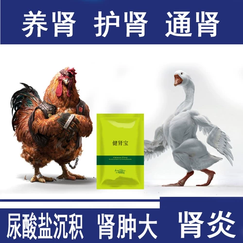 Цыпленка, утка и гусиная подагра мочевой кислоты отложения бог отек большой передачи почек с большим нефритом, цветочное пятно почек новое отравление наркотиками.