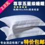 Khách sạn bộ đồ giường khách sạn linen pillowcase bán buôn bông cotton dài pillowcase người lớn duy nhất gối bộ gối cao su non cho người lớn