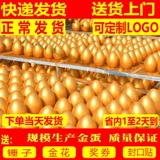 Гуандонг Кай Золотое Яйцо.