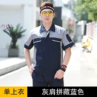 Серо -серого тибетского синего топа