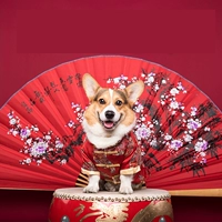 Золотая Пан Ченгсин Тан