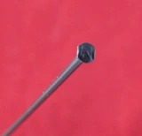 Колеснит прямой пуши