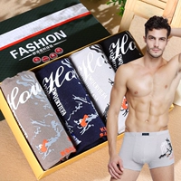 Quần lót Nam Boxer Cotton Mồ Hôi Thở Thanh Niên Boxer Head Hộp Quà Tặng In Nam Đồ Lót Cotton quần lót đùi